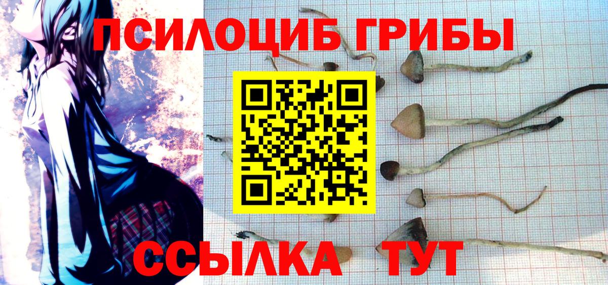 Псилоцибиновые грибы GOLDEN TEACHER Биробиджан