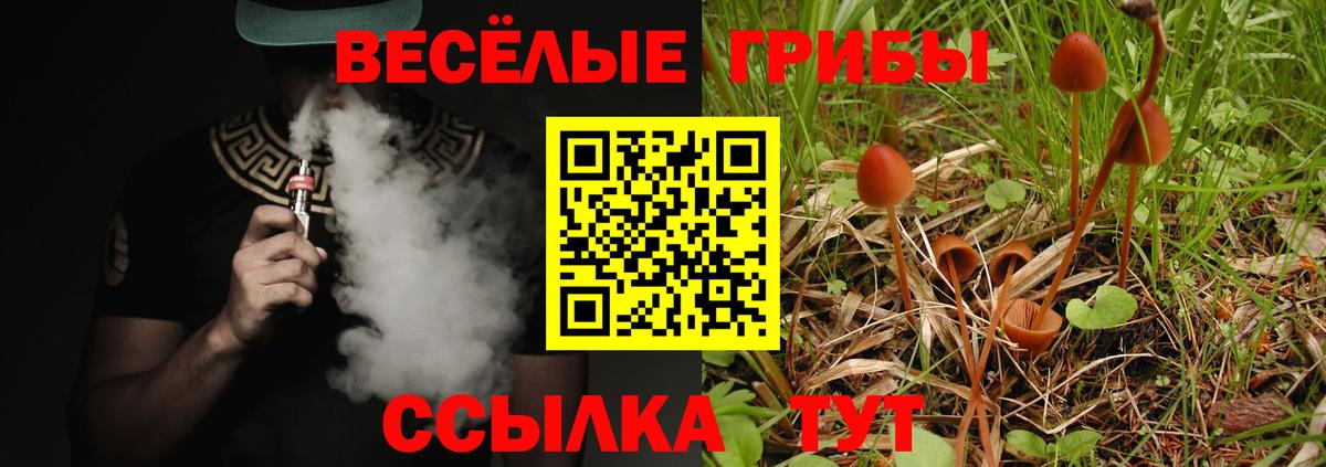 Биробиджан  Галлюциногенные грибы прущие грибы  Вход с VPN  Псилоцибиновые грибы ЛСД 